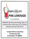Premium Brand (4) 1 Gallon Plastic Jug Case Fountain Syrup, 5:1 Ratio